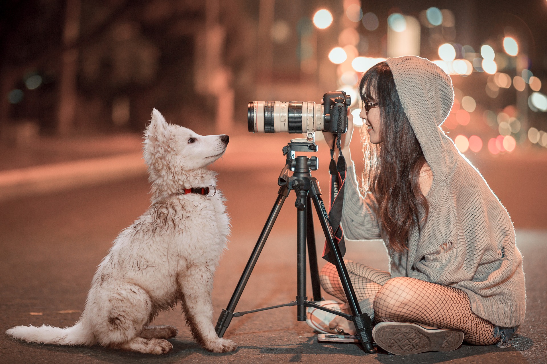 photography fun things to do with your dog