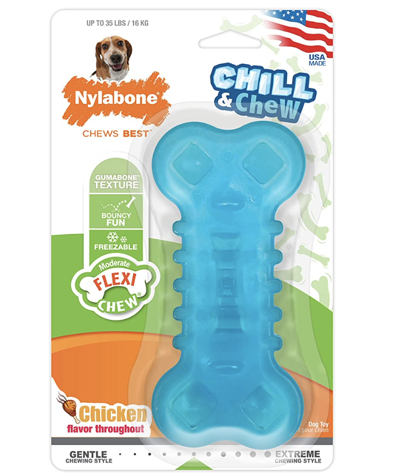 nylabone puppy toys for teething