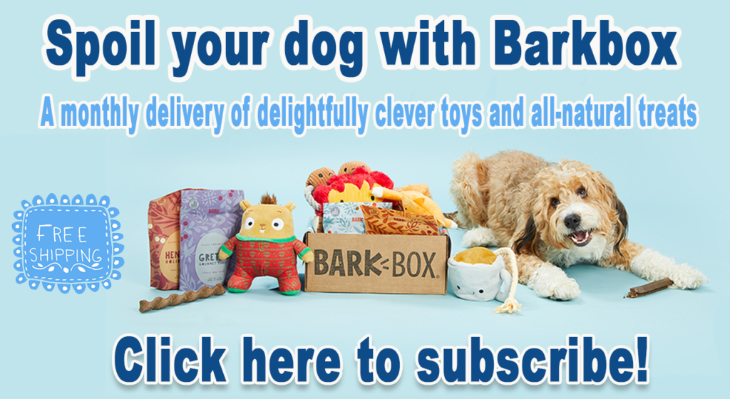 cute boy puppy names Barkbox ad