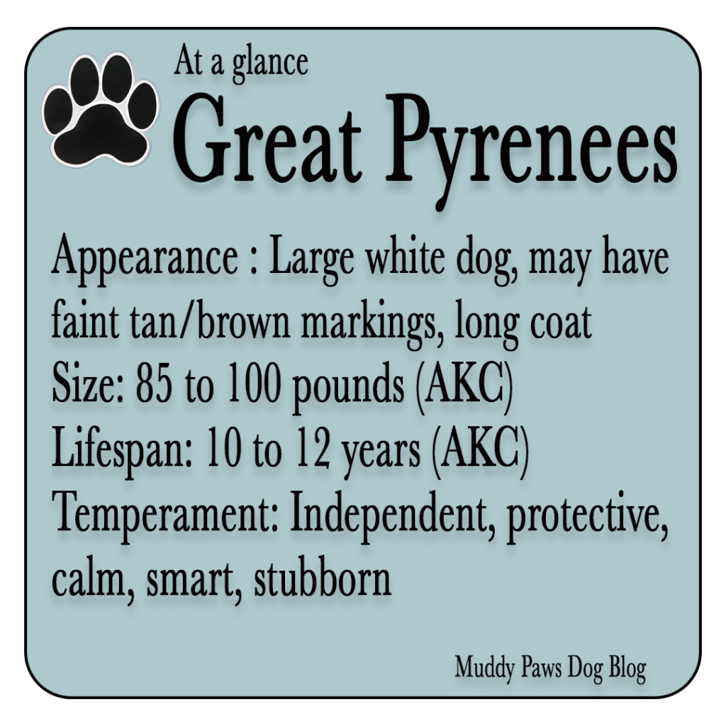 Great Pyrenees best farm dogs